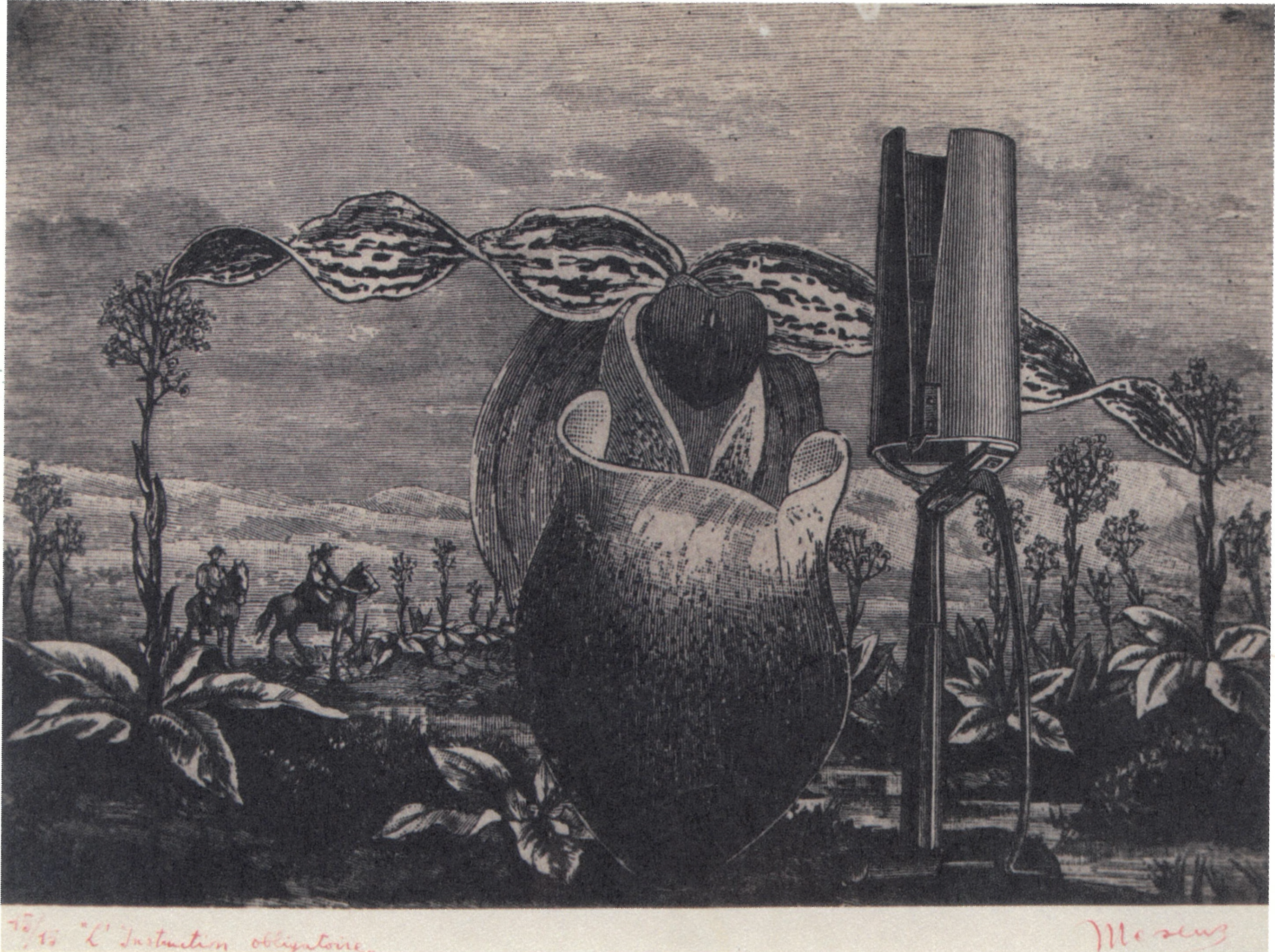  L'instruction obligatoire ( III ) 