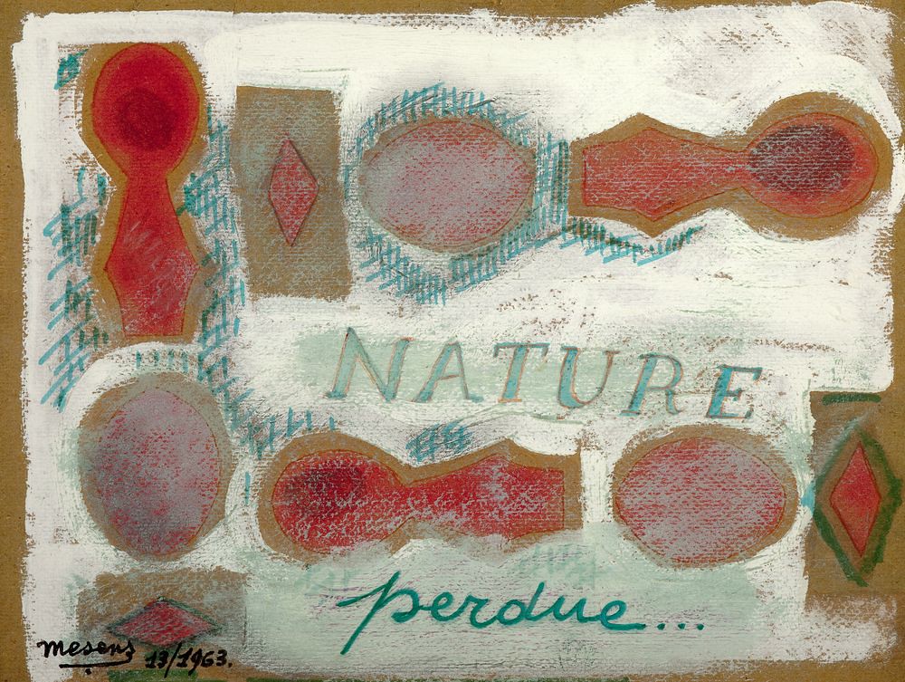  Nature perdue….