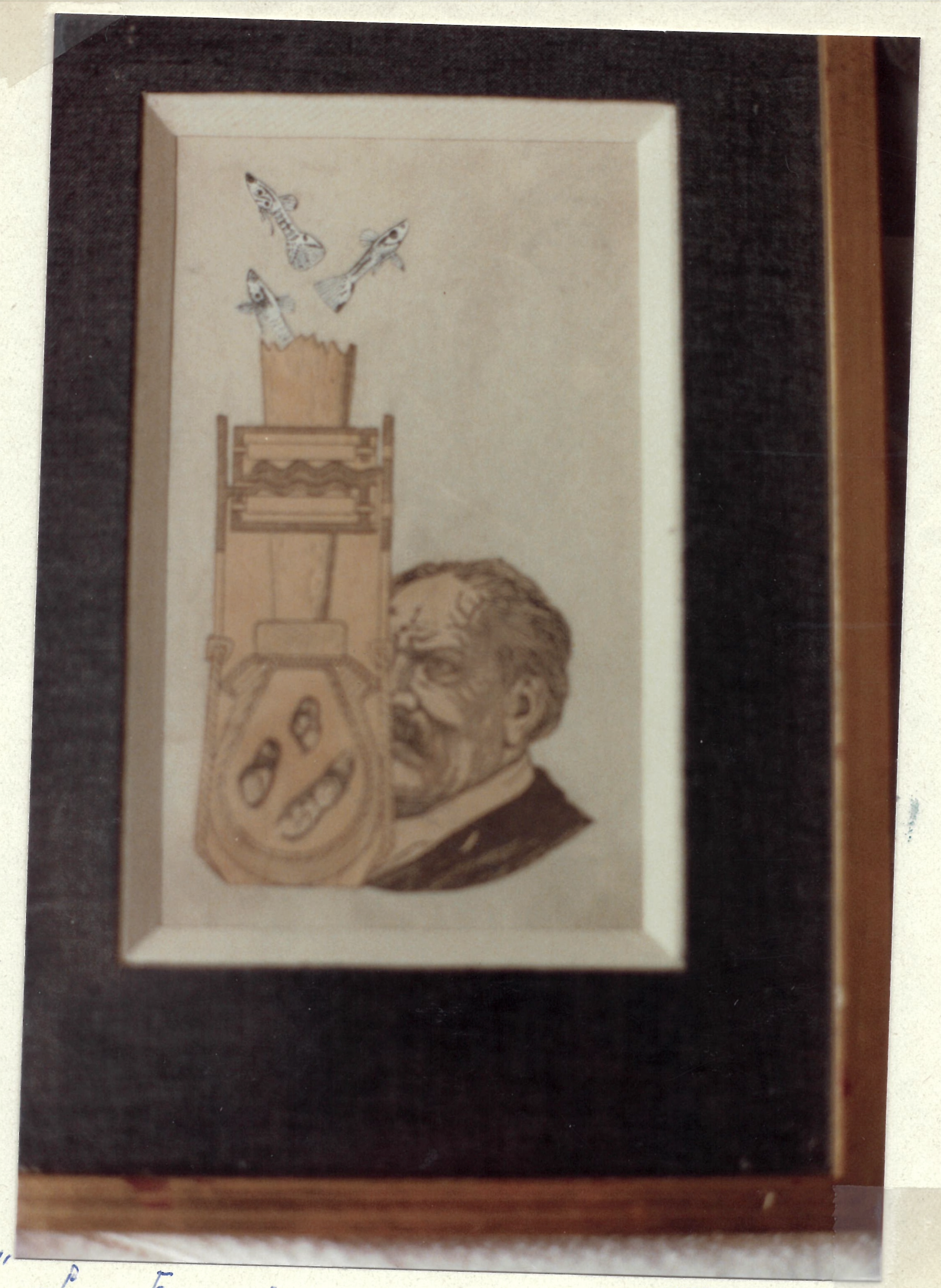  La fabrication des poissons 