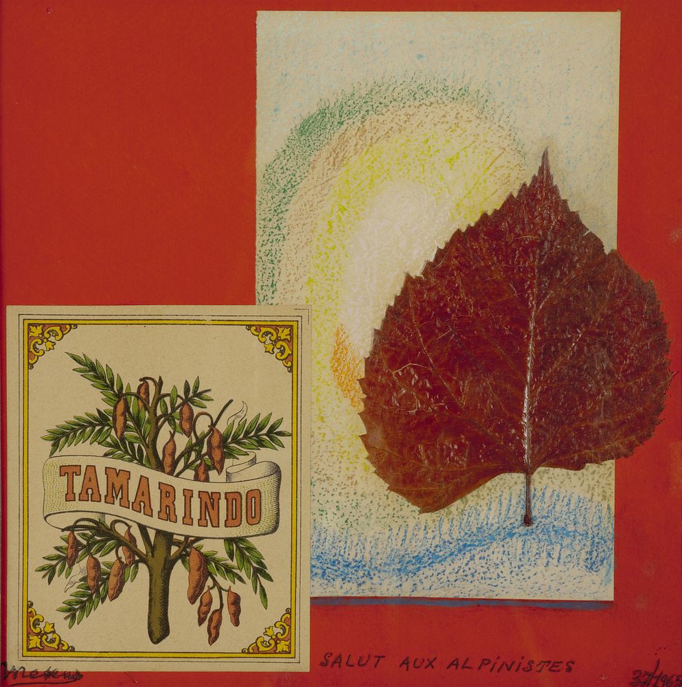  Salut aux alpinistes 