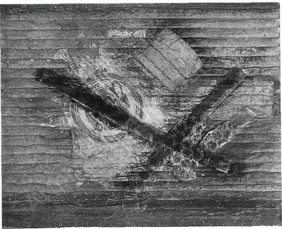  Jardin ( ou Chardin ) déprimé 